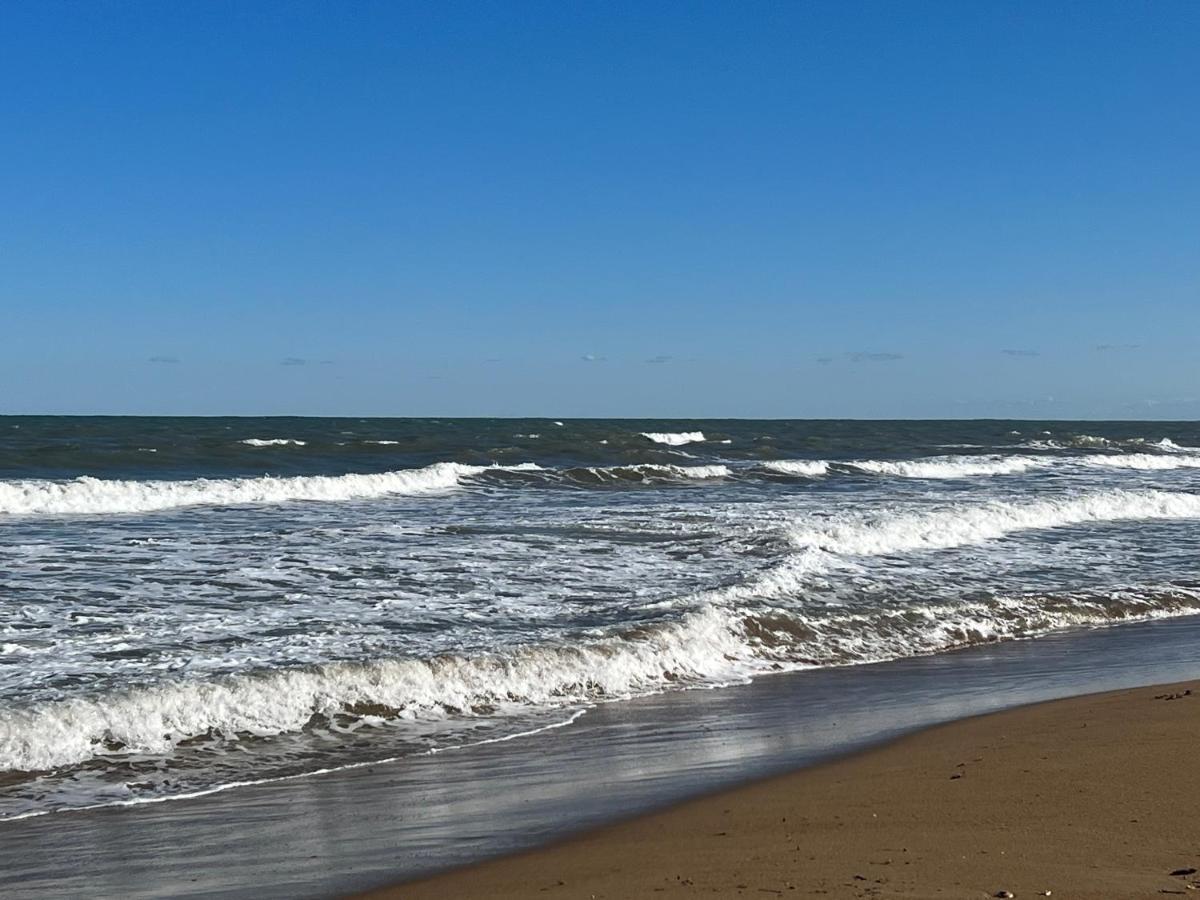 데니아 Piso Los Angeles - 1Ra Linea De Playa 아파트 외부 사진